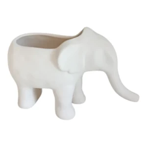 Elefante-BIZCOCHO