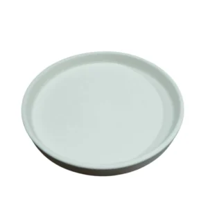 PLATO TE BORDE- Bizcocho -
